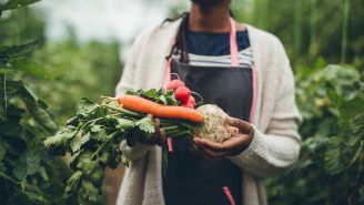 Try the nordic diet for health and longevity