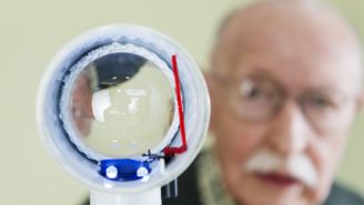 How can vision rehabilitation help a person with wet AMD?