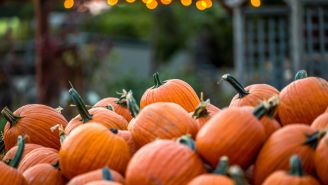 5 Fun Ways to Get Your Pumpkin Fix