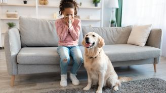 How to Love Your Pet—and Live Better with Allergic Asthma  