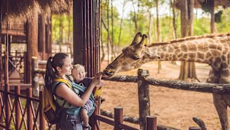 The buying decision that might make you happier