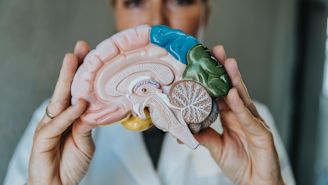 Vasomotor symptoms (VMS): Understanding your hypothalamus