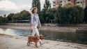 Walking: the simple, free way to improve your health