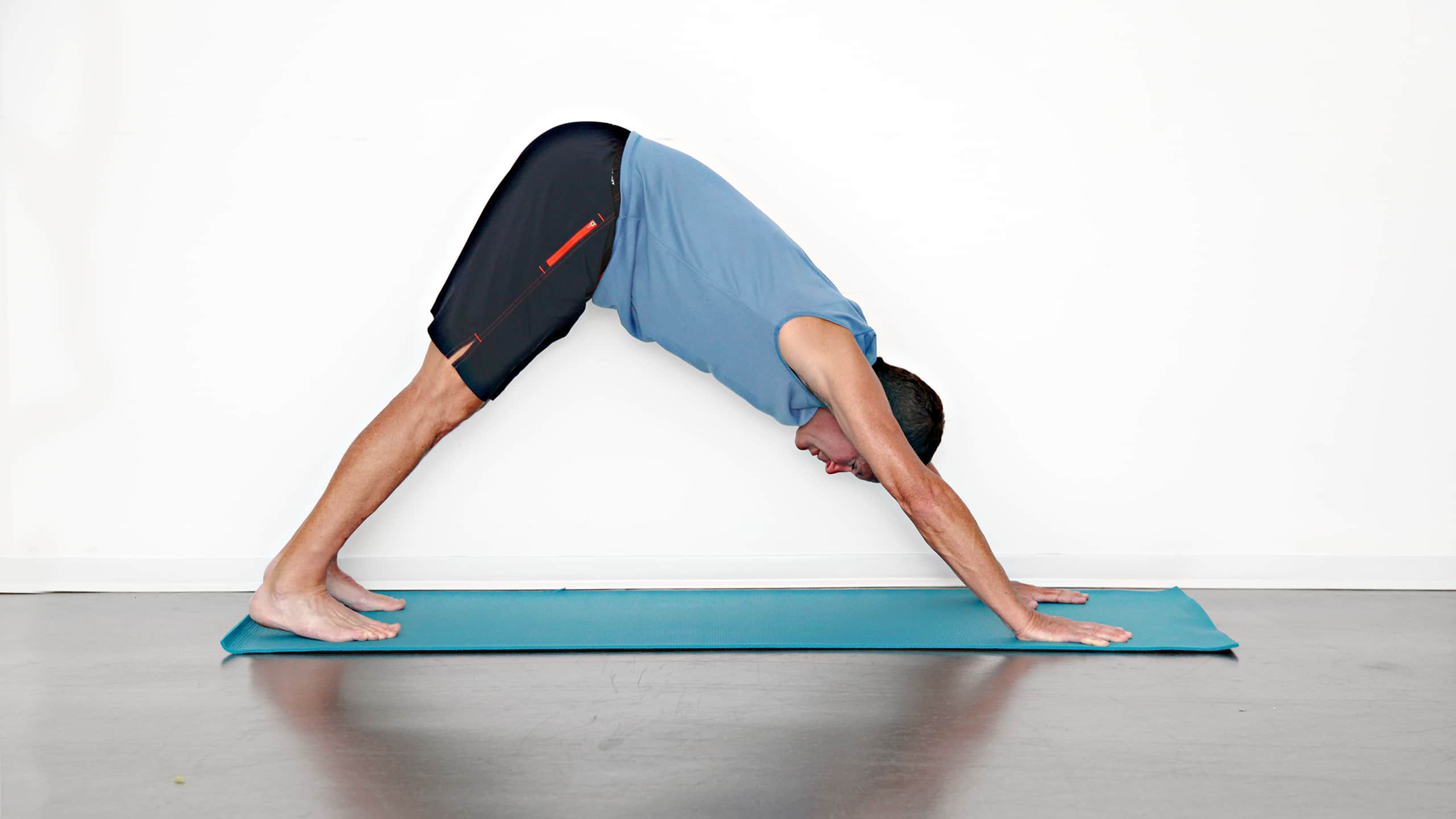 Downward dog