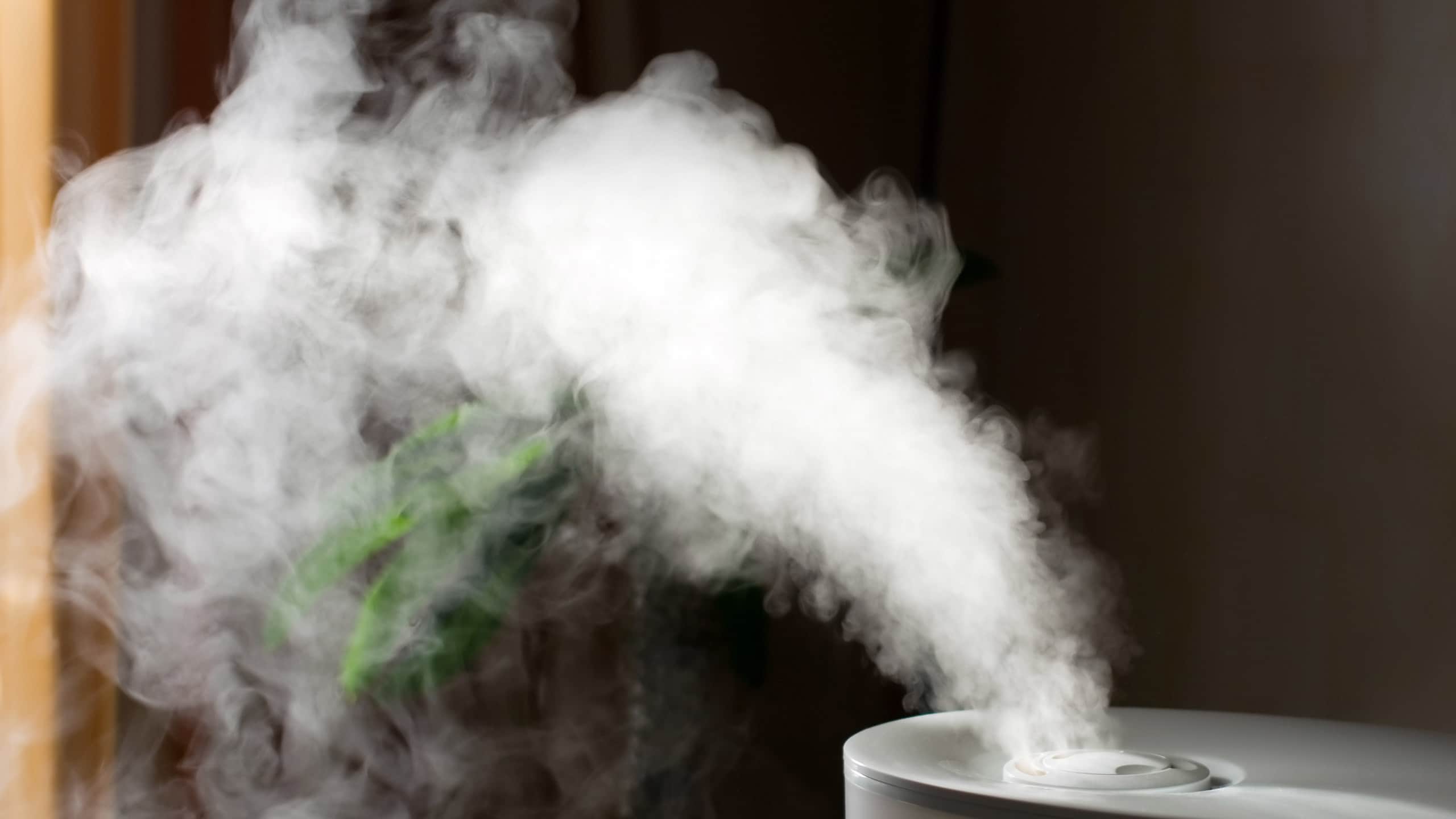 Humidify the air