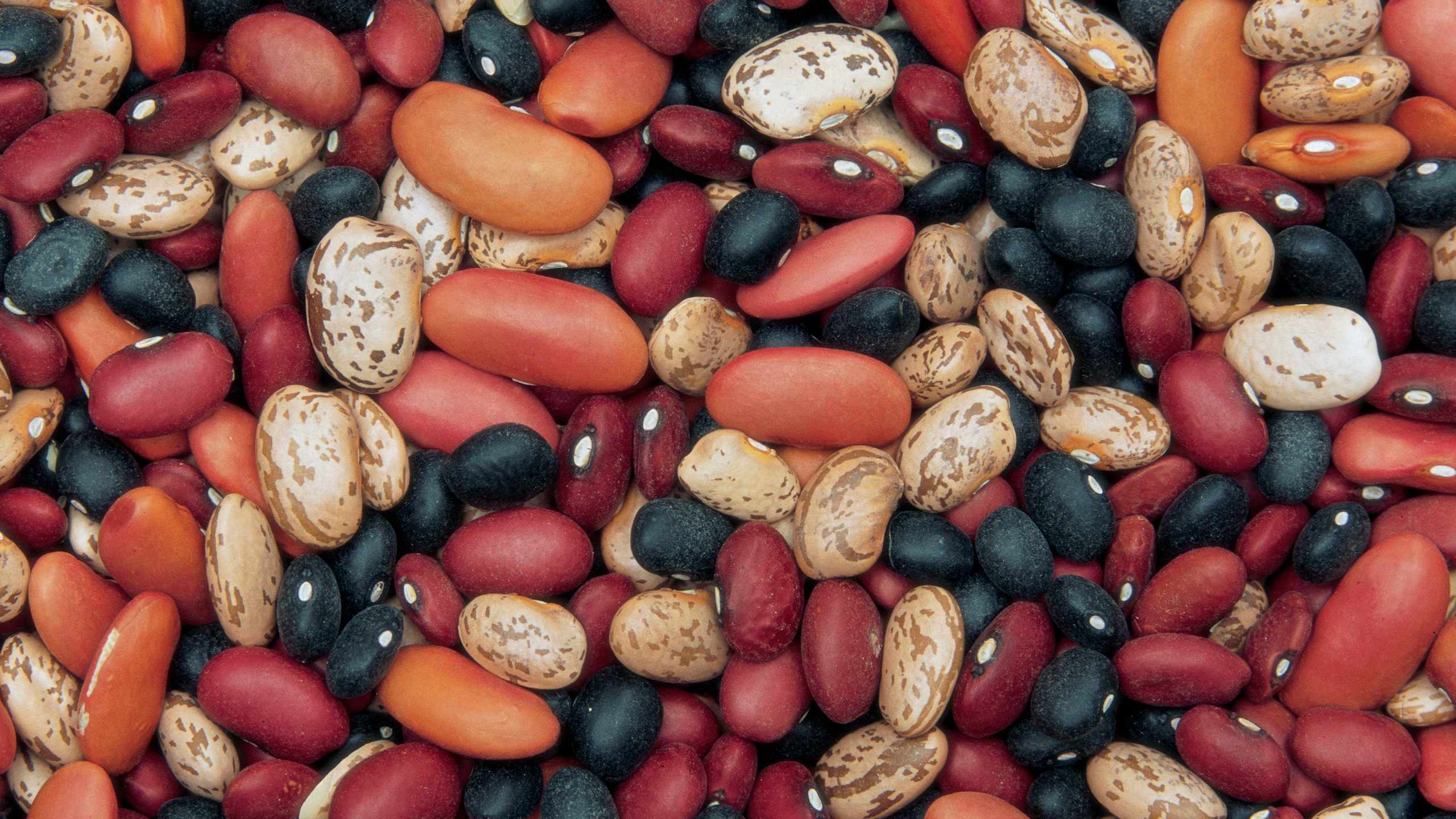 Boost fiber and protein with beans