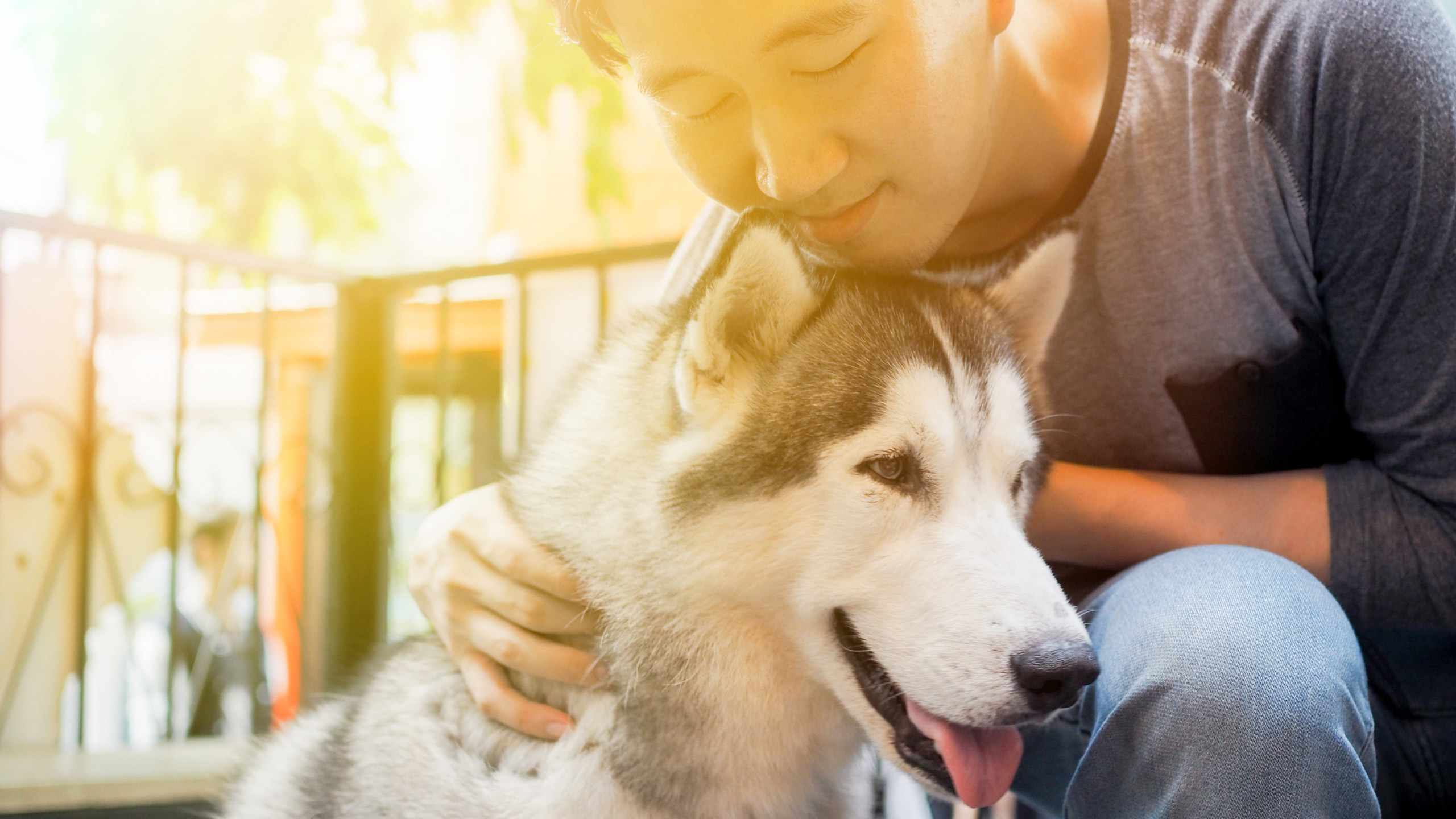 Pets give you a sense of purpose