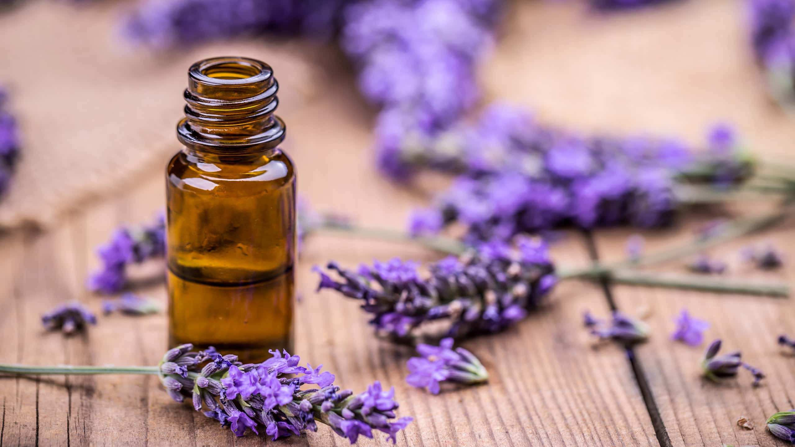 #1: Embrace the lavender herb