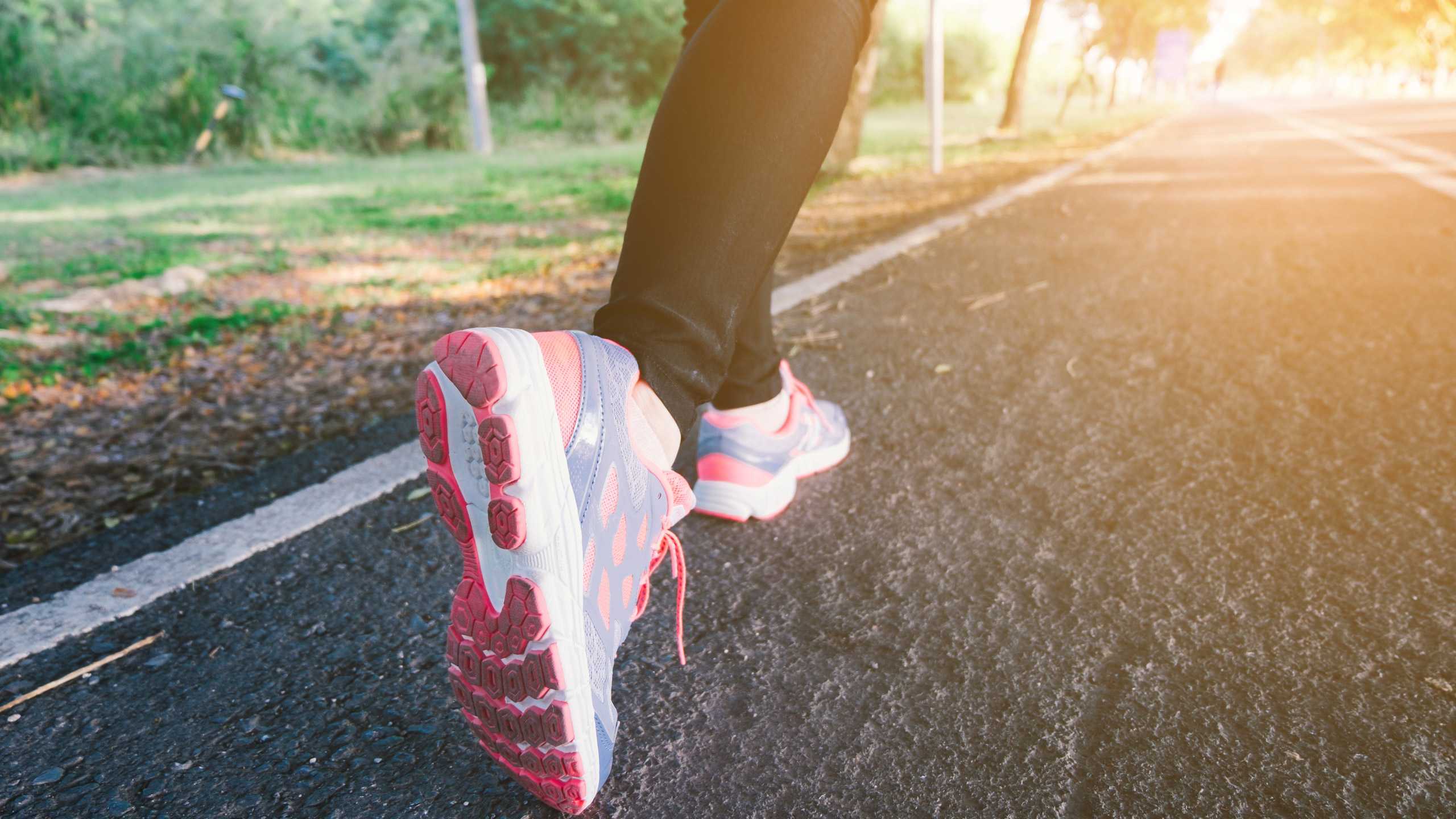 Veins and valves fight gravity