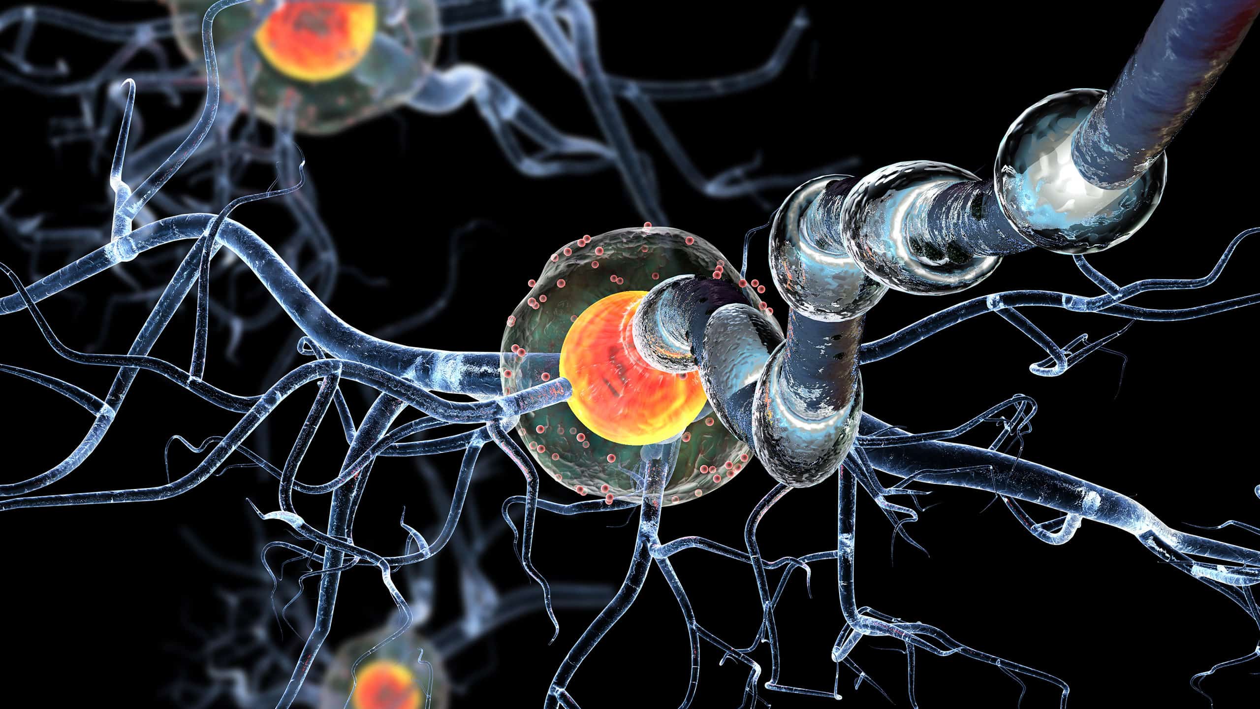 Nipping neuropathic pain in the bud