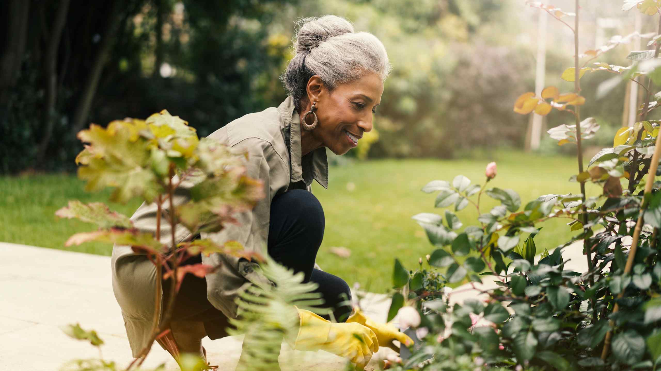 Gardening and yard work