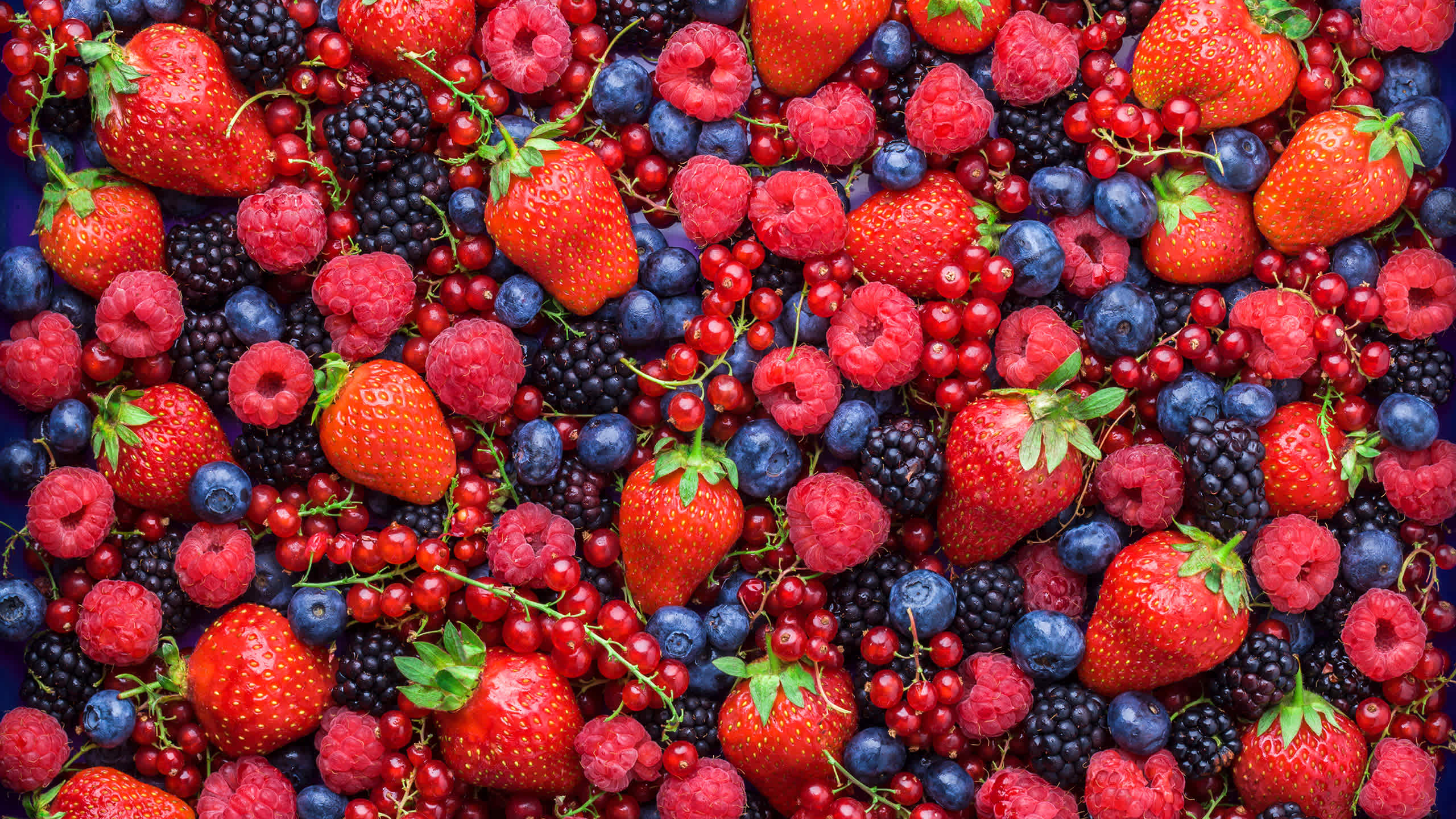 Phase 1: Forget about fruit (for now)