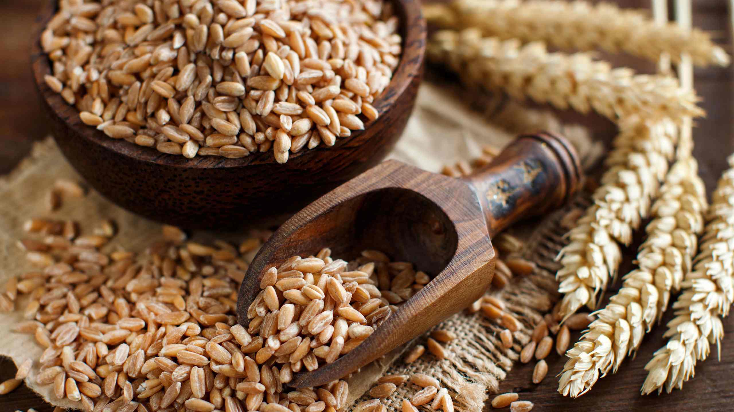 Farro