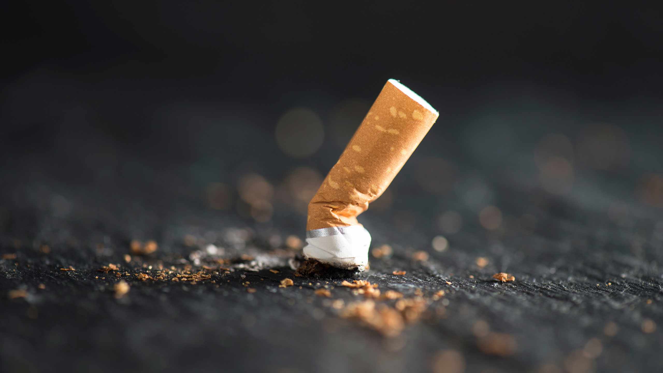 Never Start Smoking—or Quit ASAP