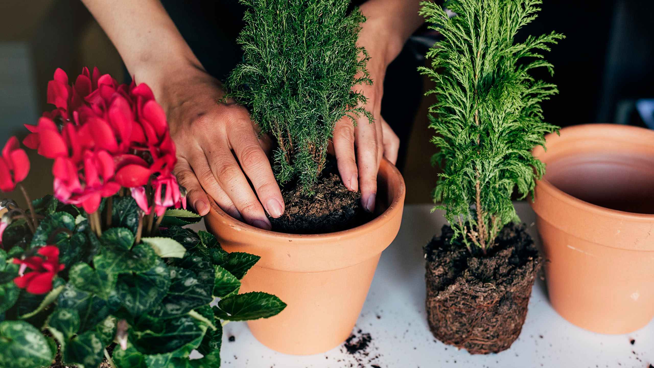 Get your hands dirty