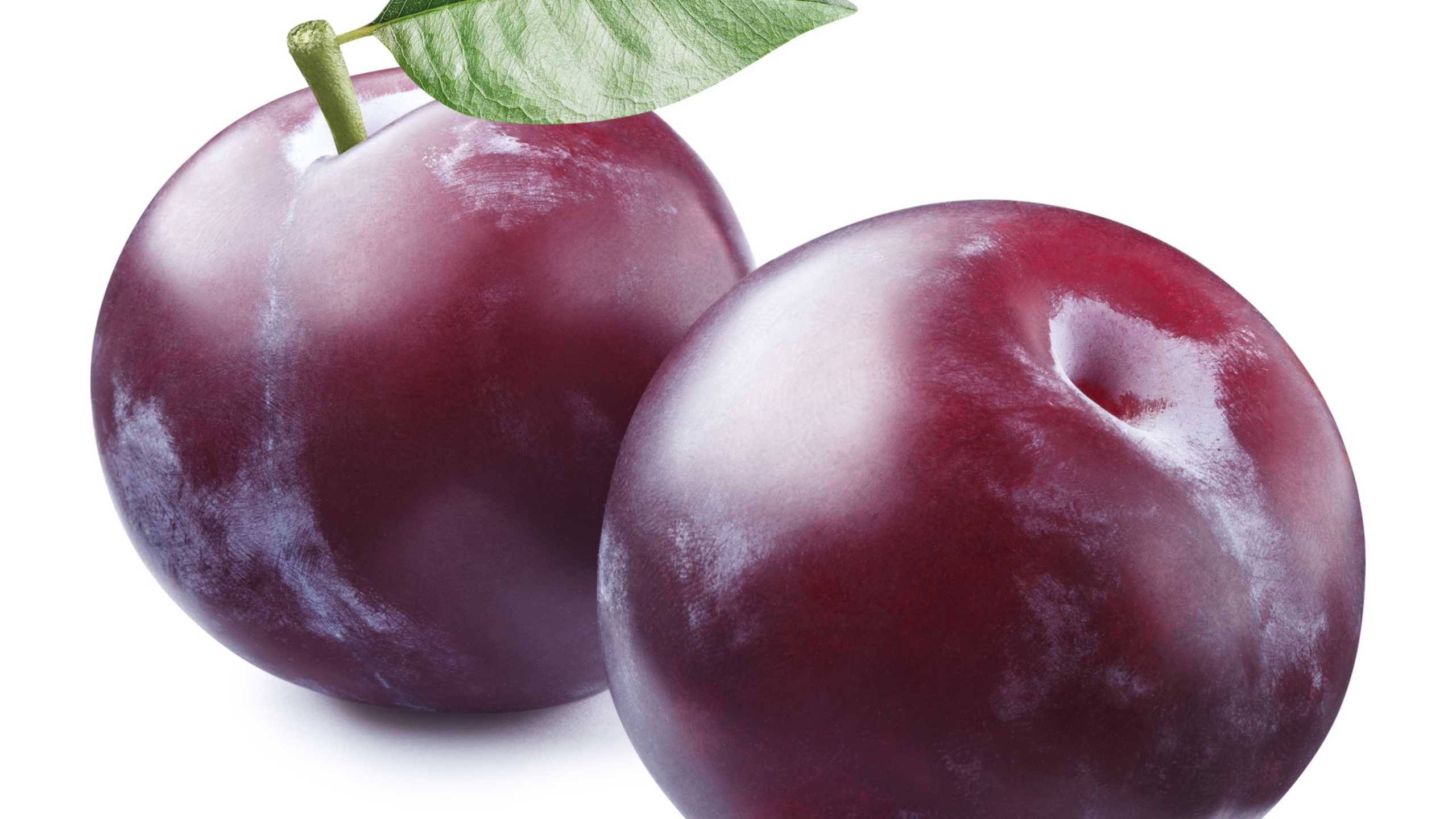Size at 12 weeks: Plum