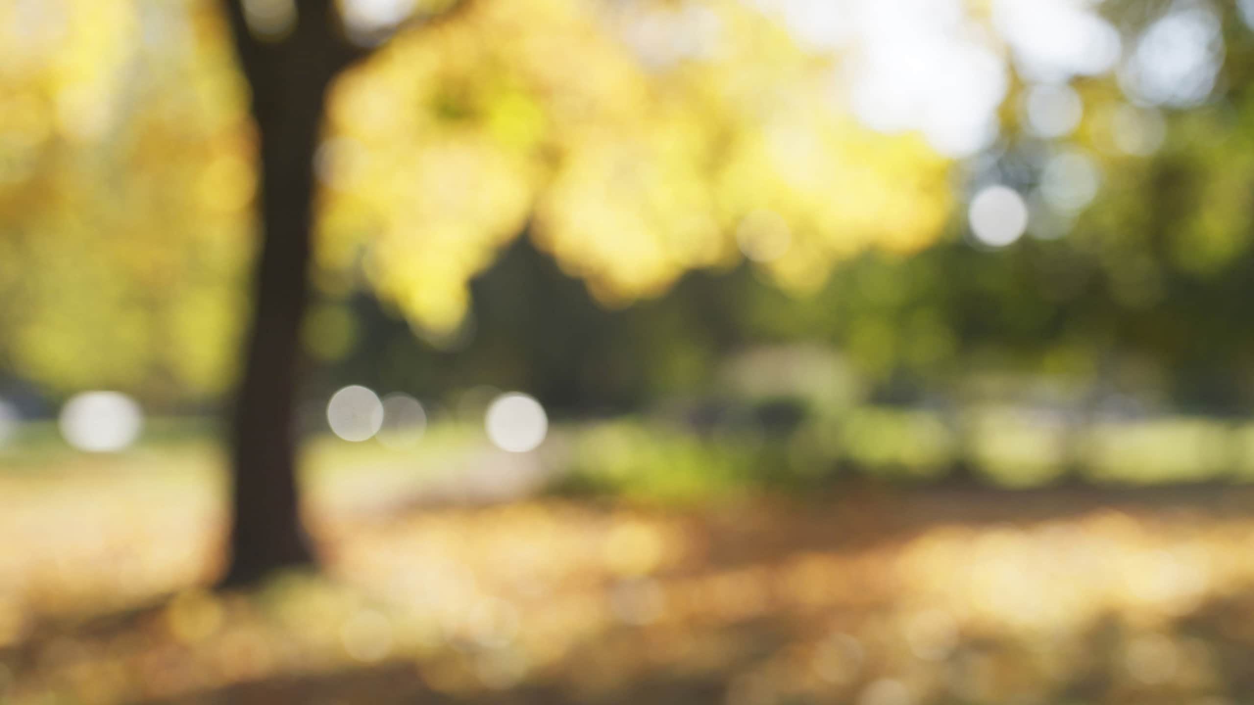 Blurred vision may mean Diabetes