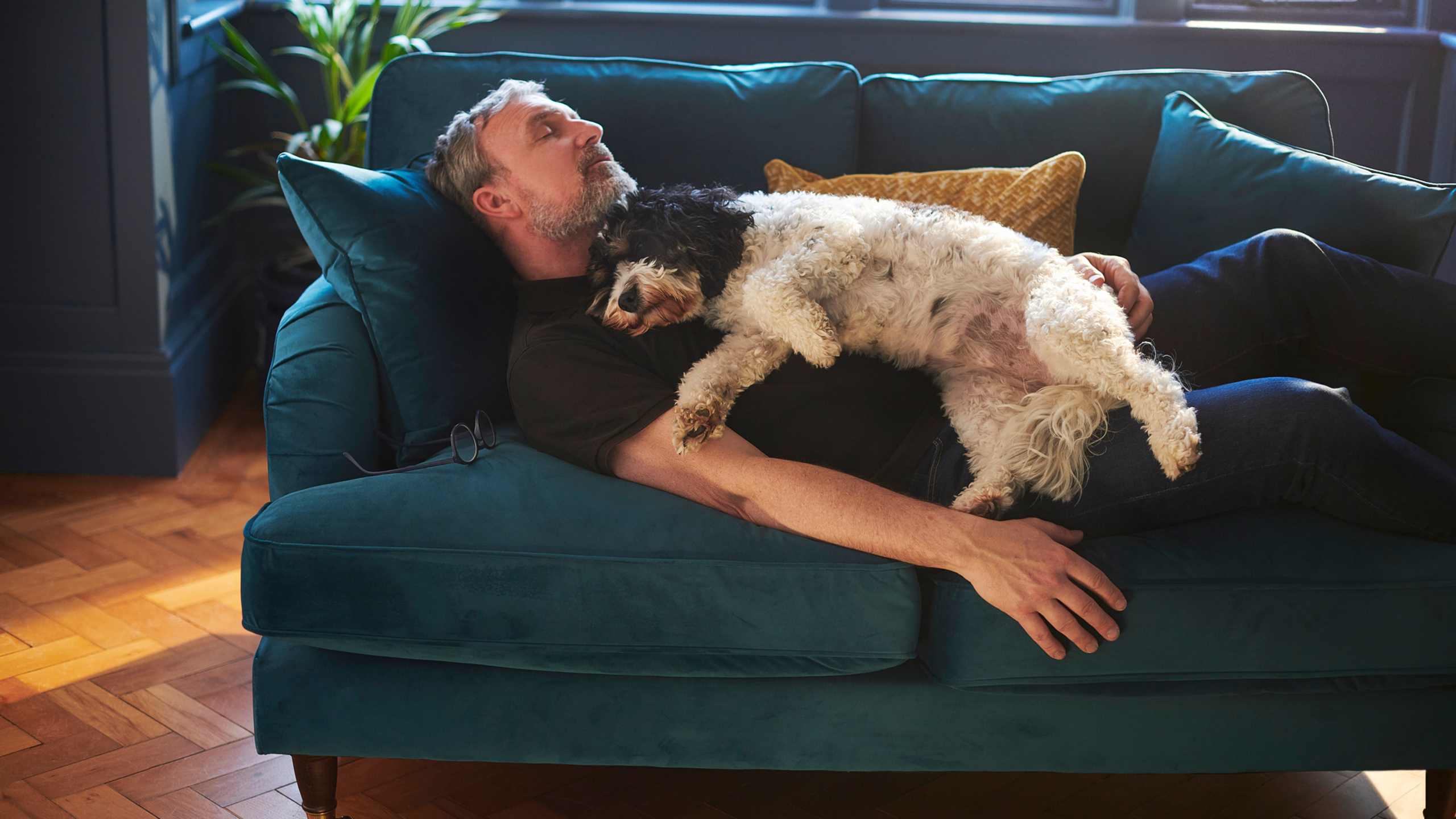 Take a power nap