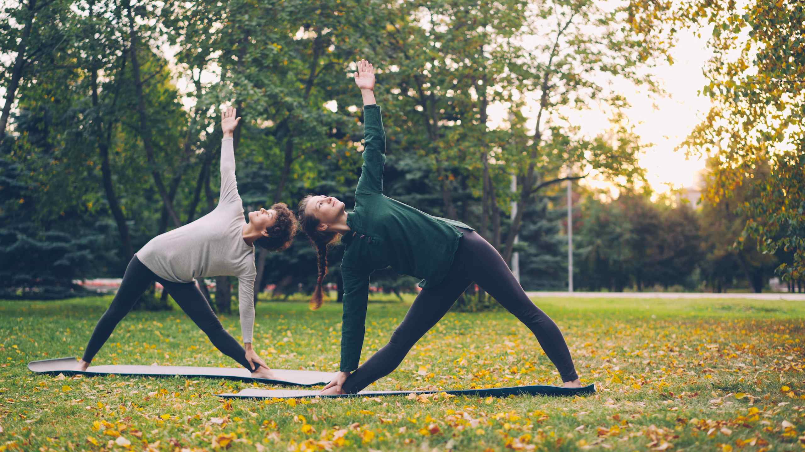 Hatha yoga