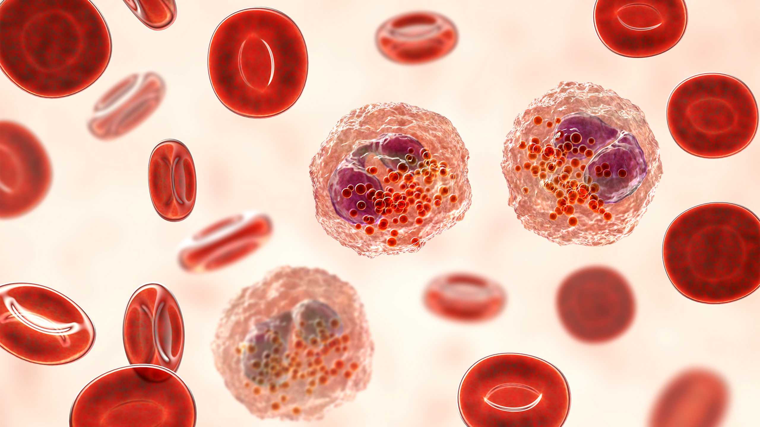 Eosinophils