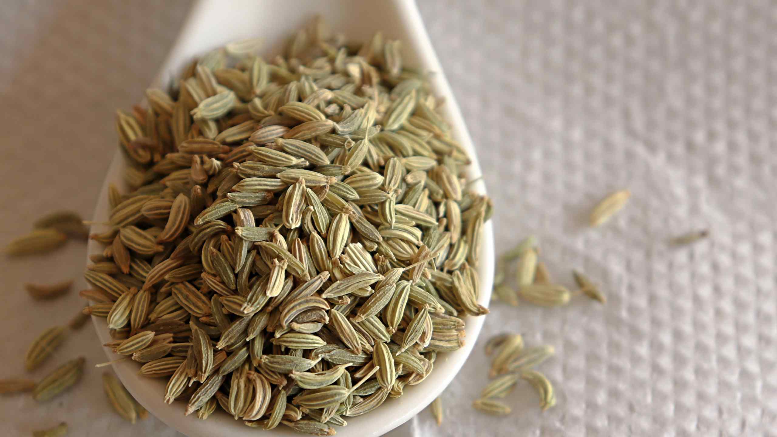 Fennel seeds