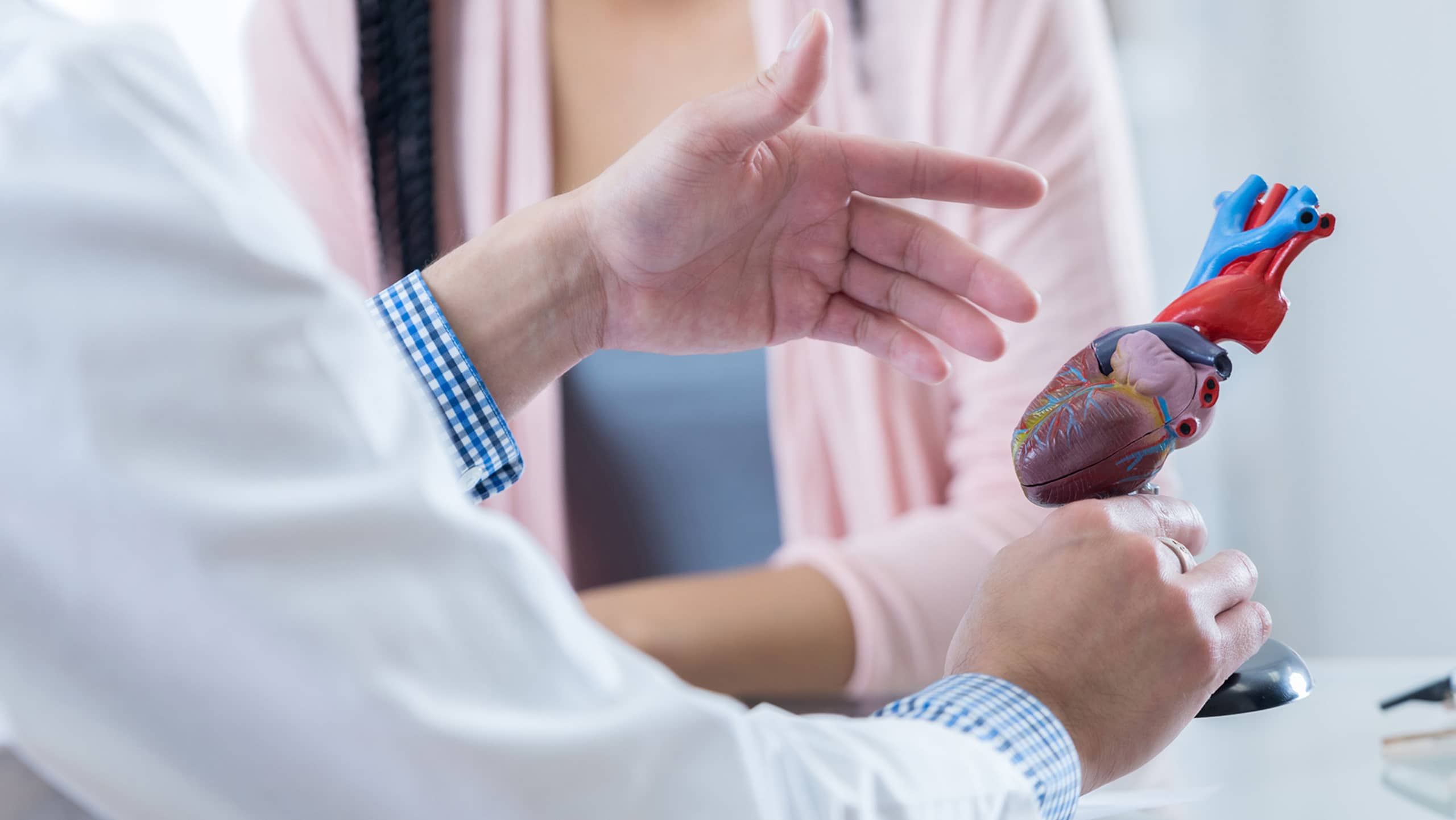 Heart valve replacement: what are my options?