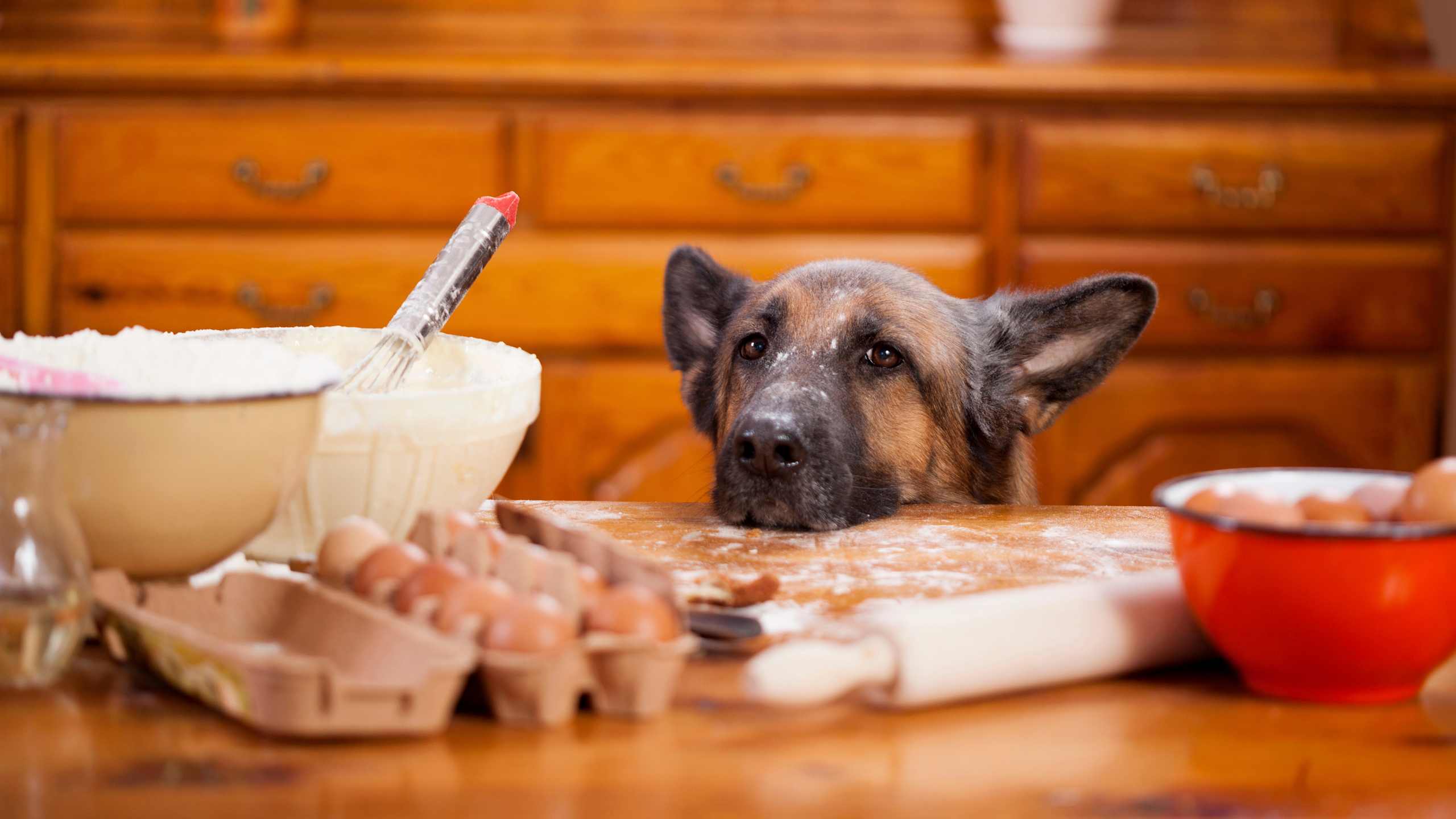Under-the-table bites