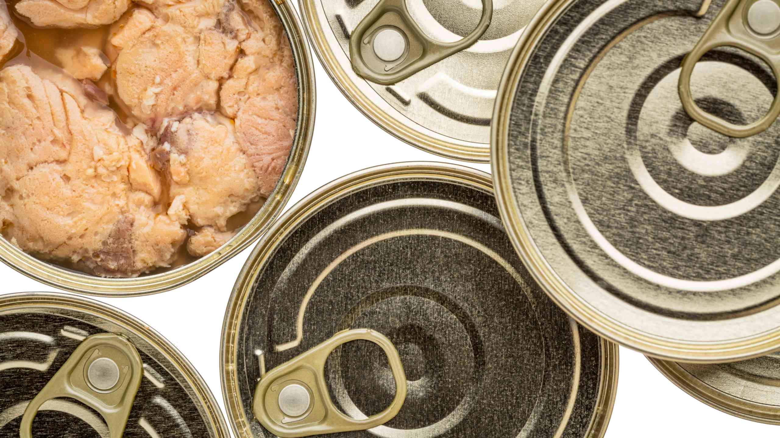 Open a can of salmon