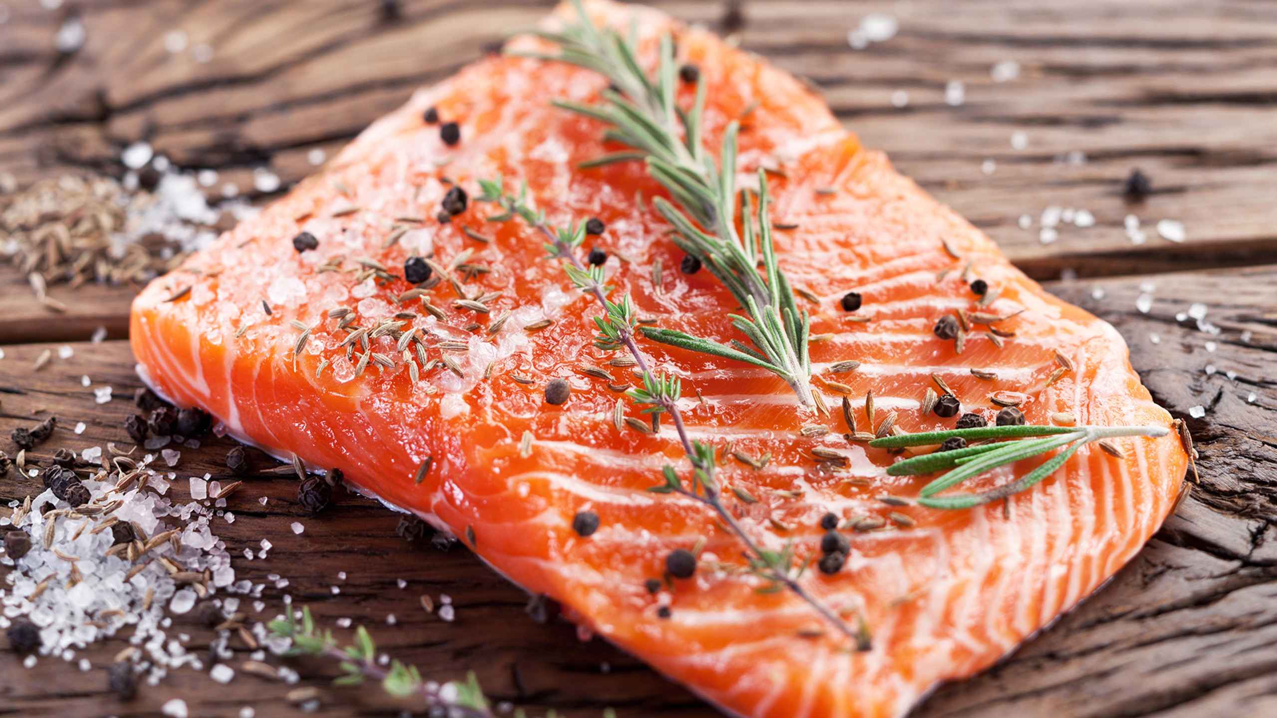 Salmon