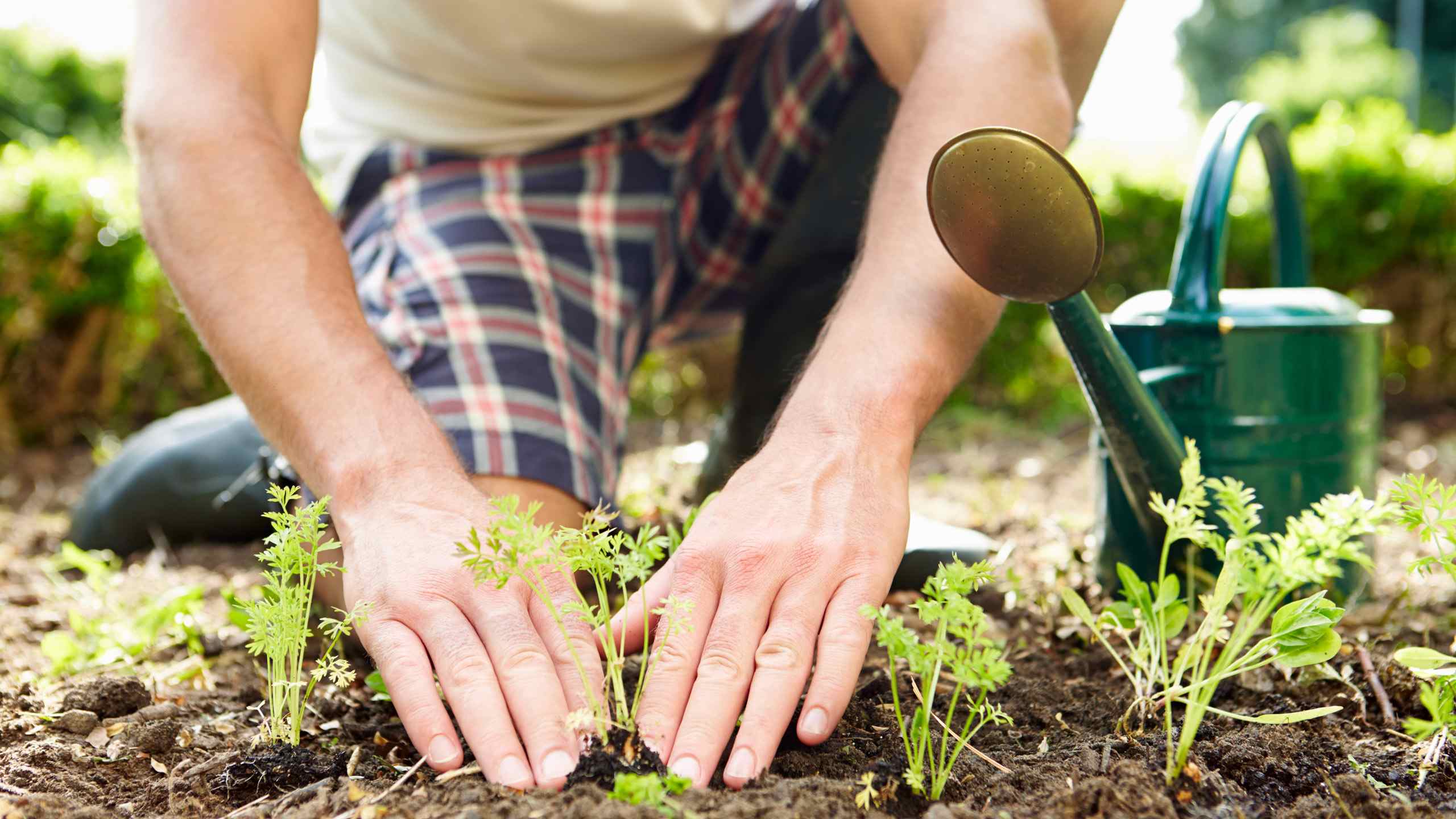 Gardening and yard work