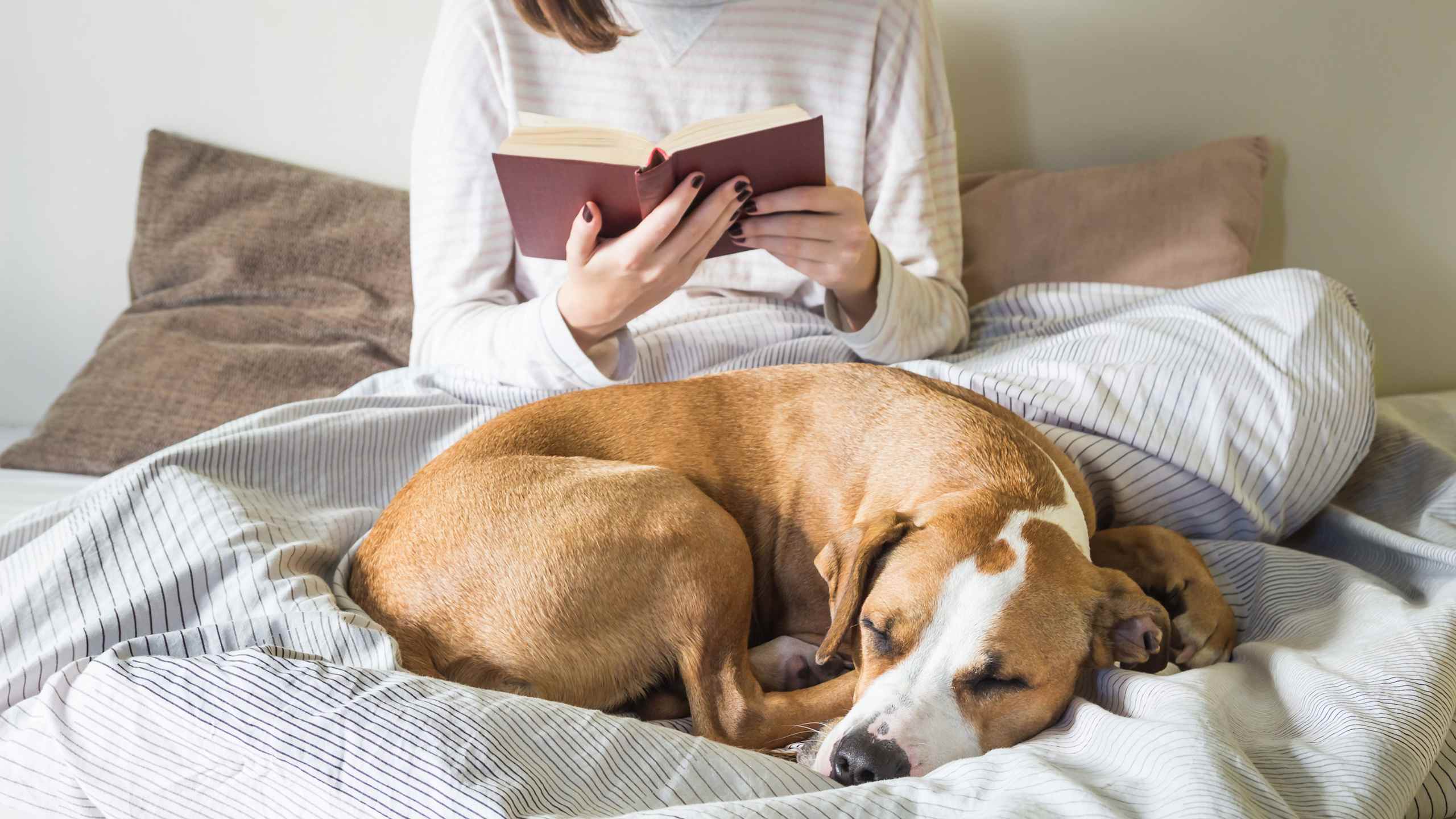 Set a sleep environment