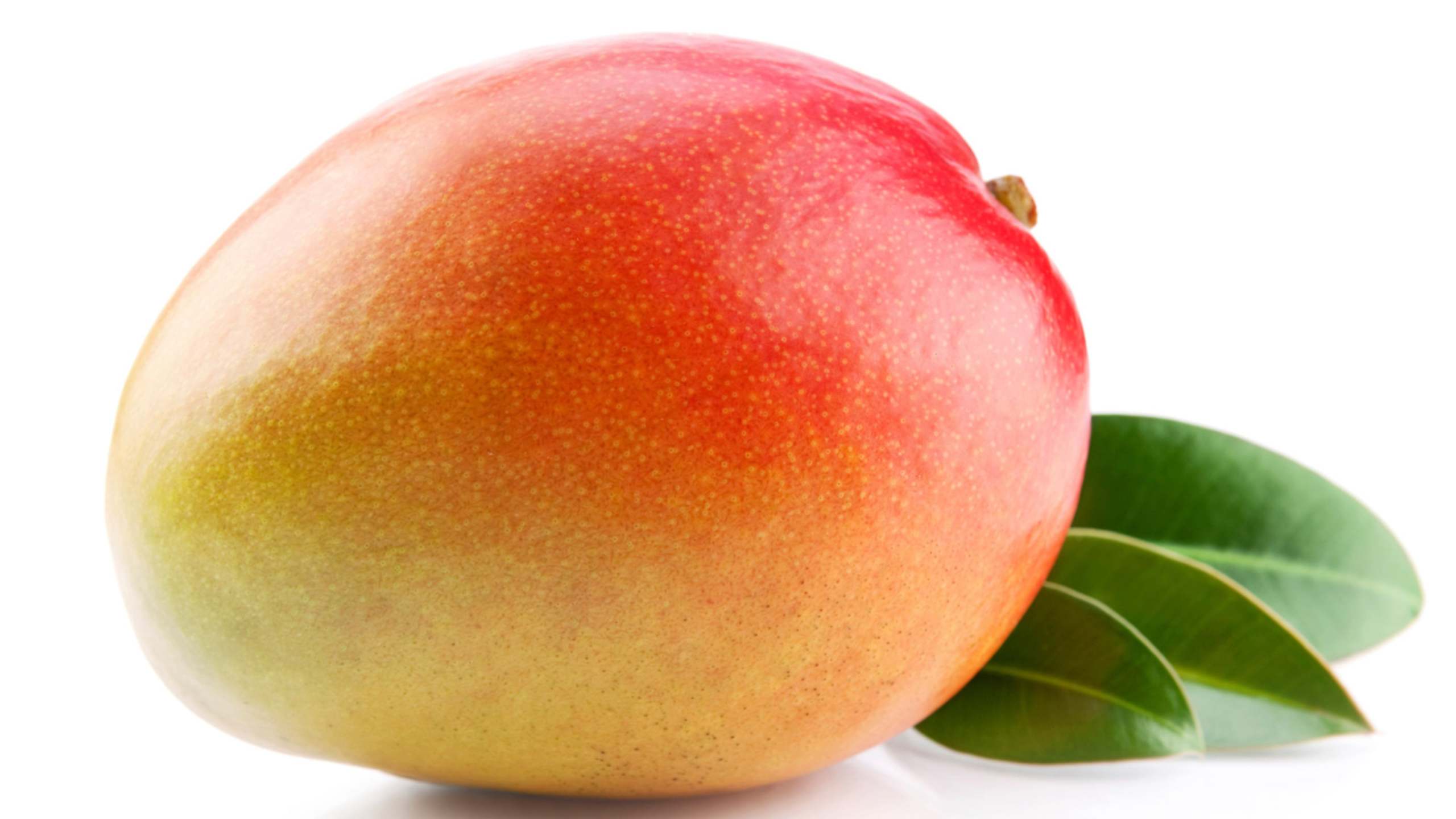 Size at 19 weeks: Mango
