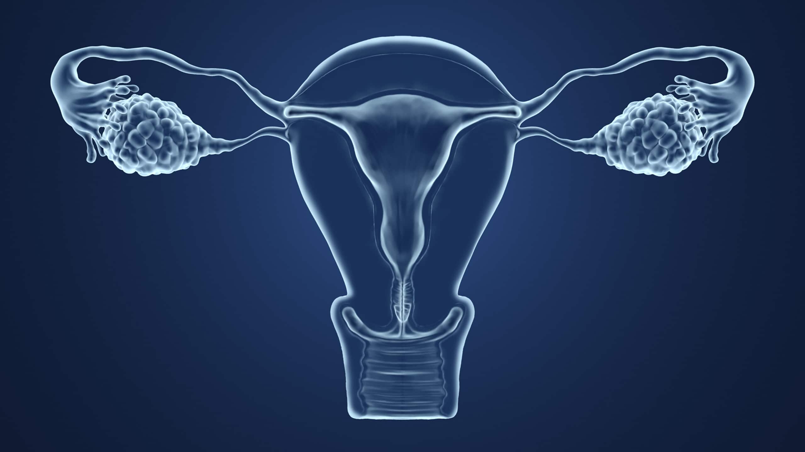 Your vagina and vulva may change
