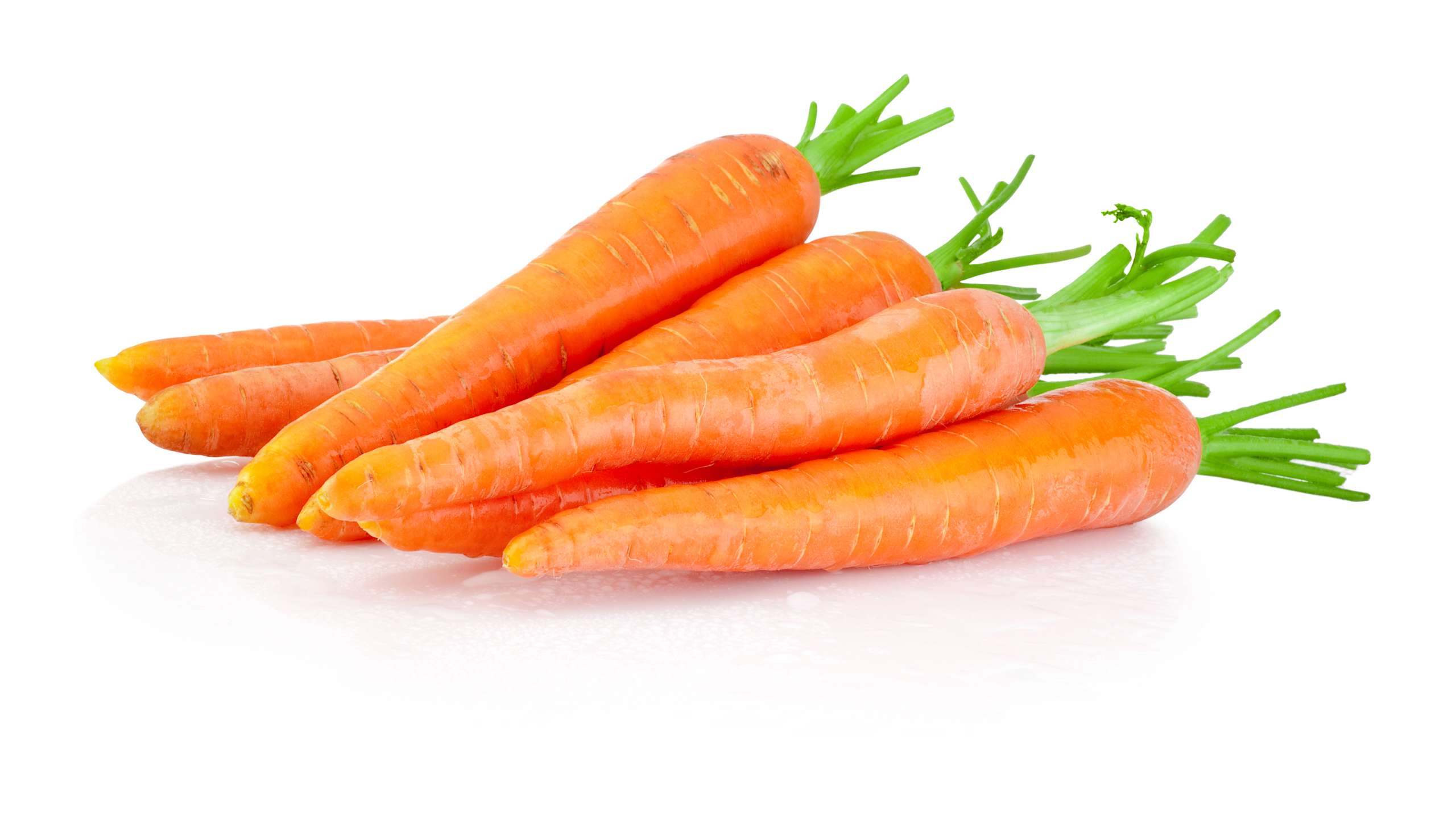 Size at 21 weeks: Carrot