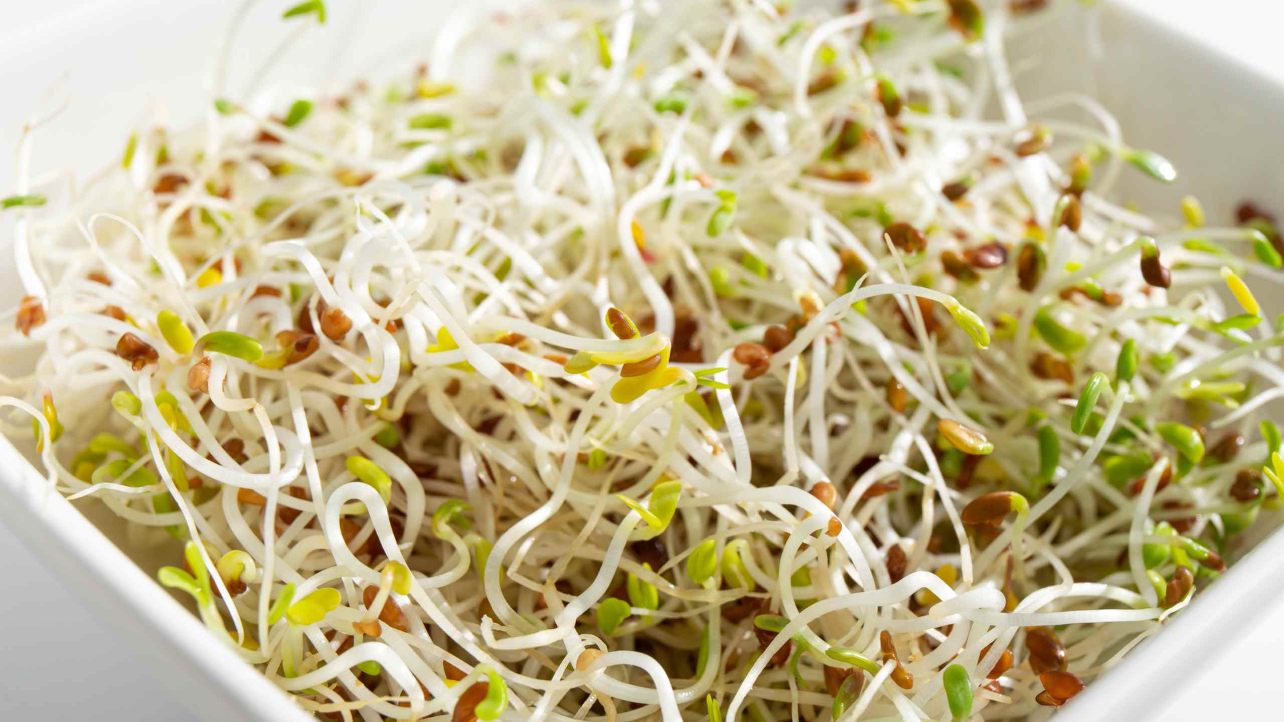 Sprouts