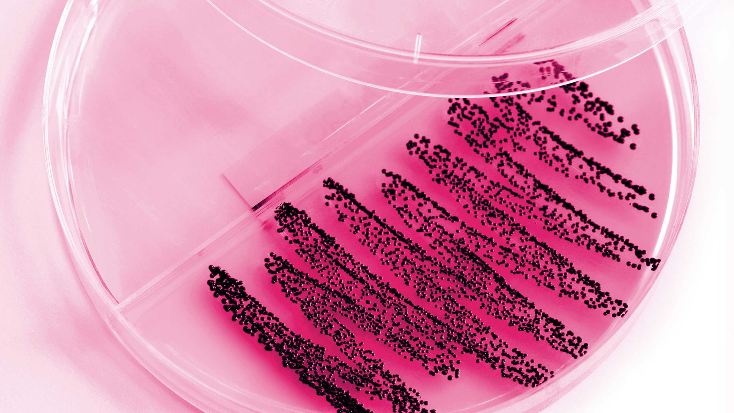 Can you get tested for every cancer?