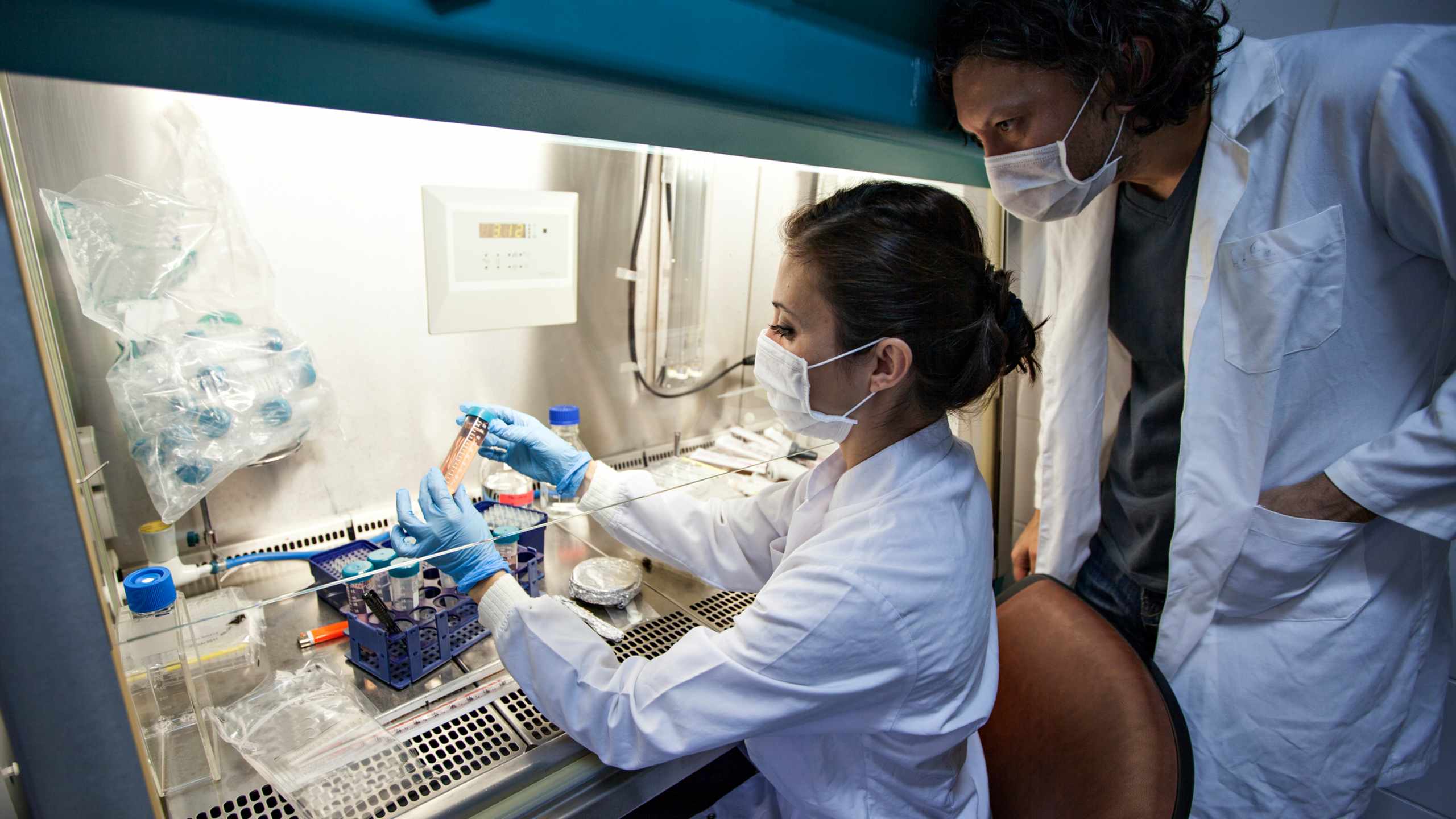 Late 1940s: Bacteria gets stronger