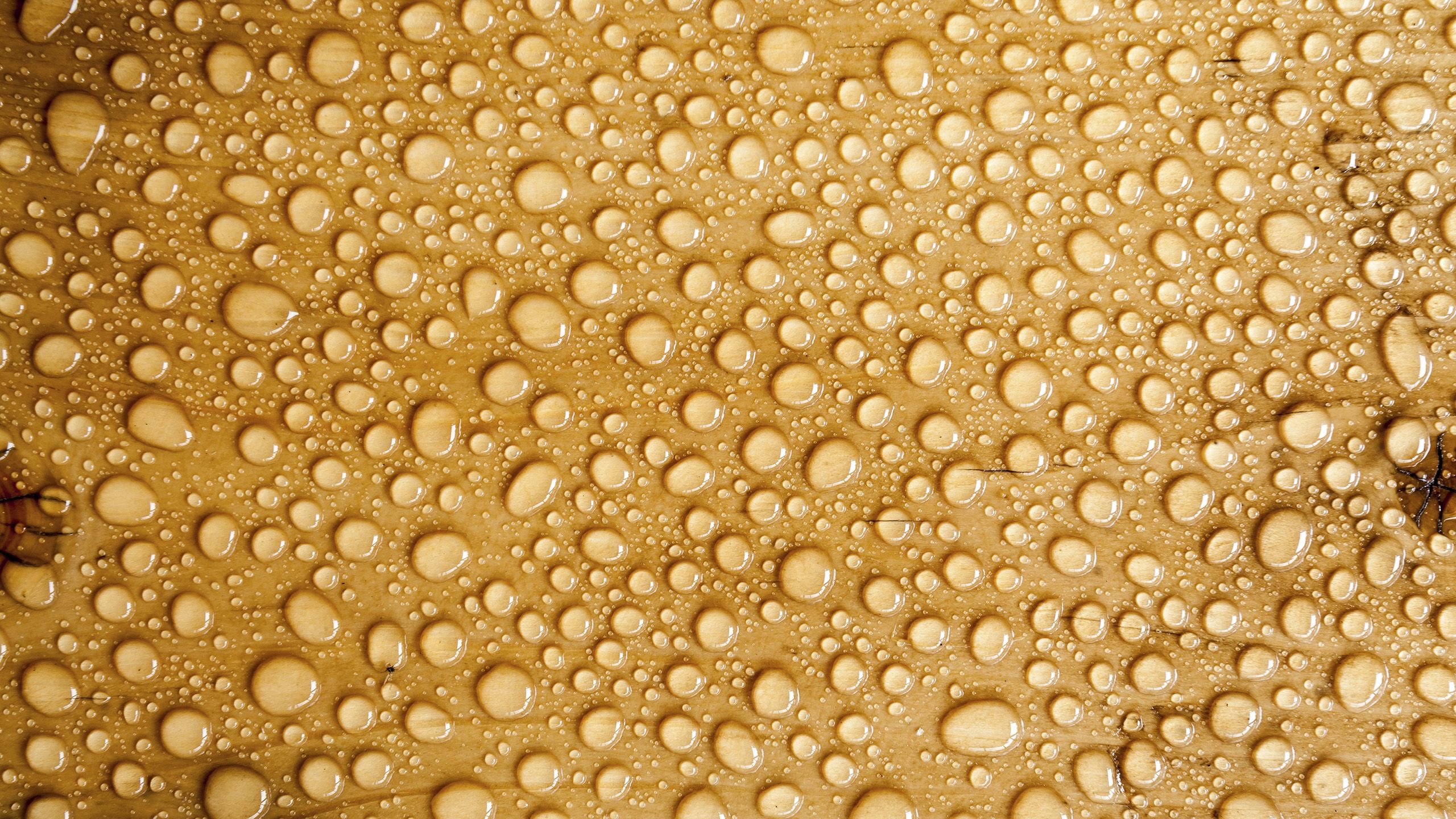 Can You Get An Std From Urine On A Toilet Seat Matttroy