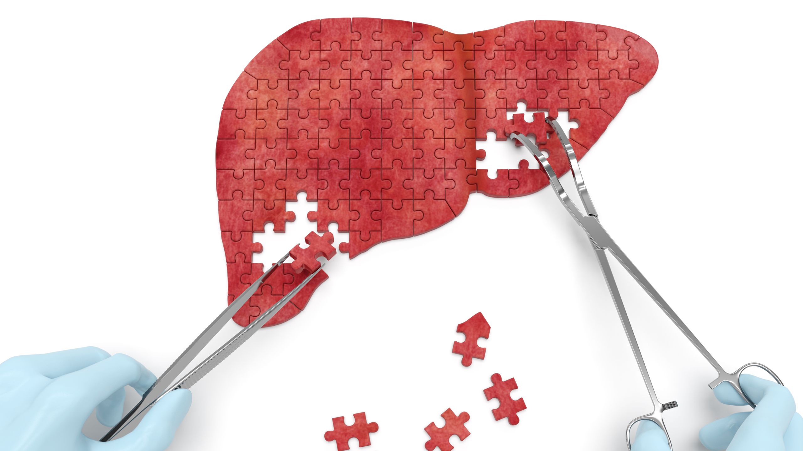 7 amazing facts about your liver