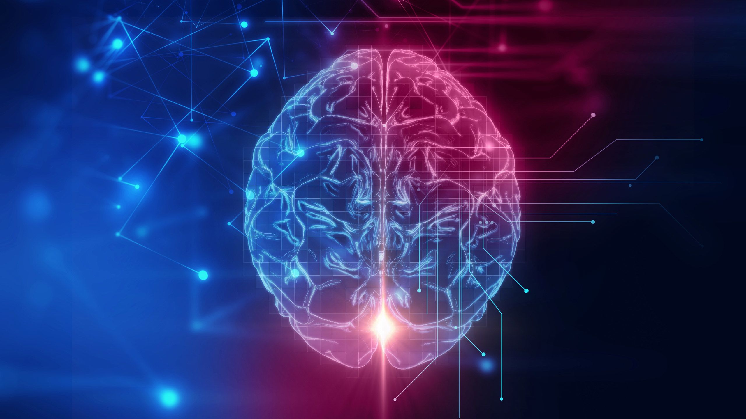 5 amazing facts about your brain