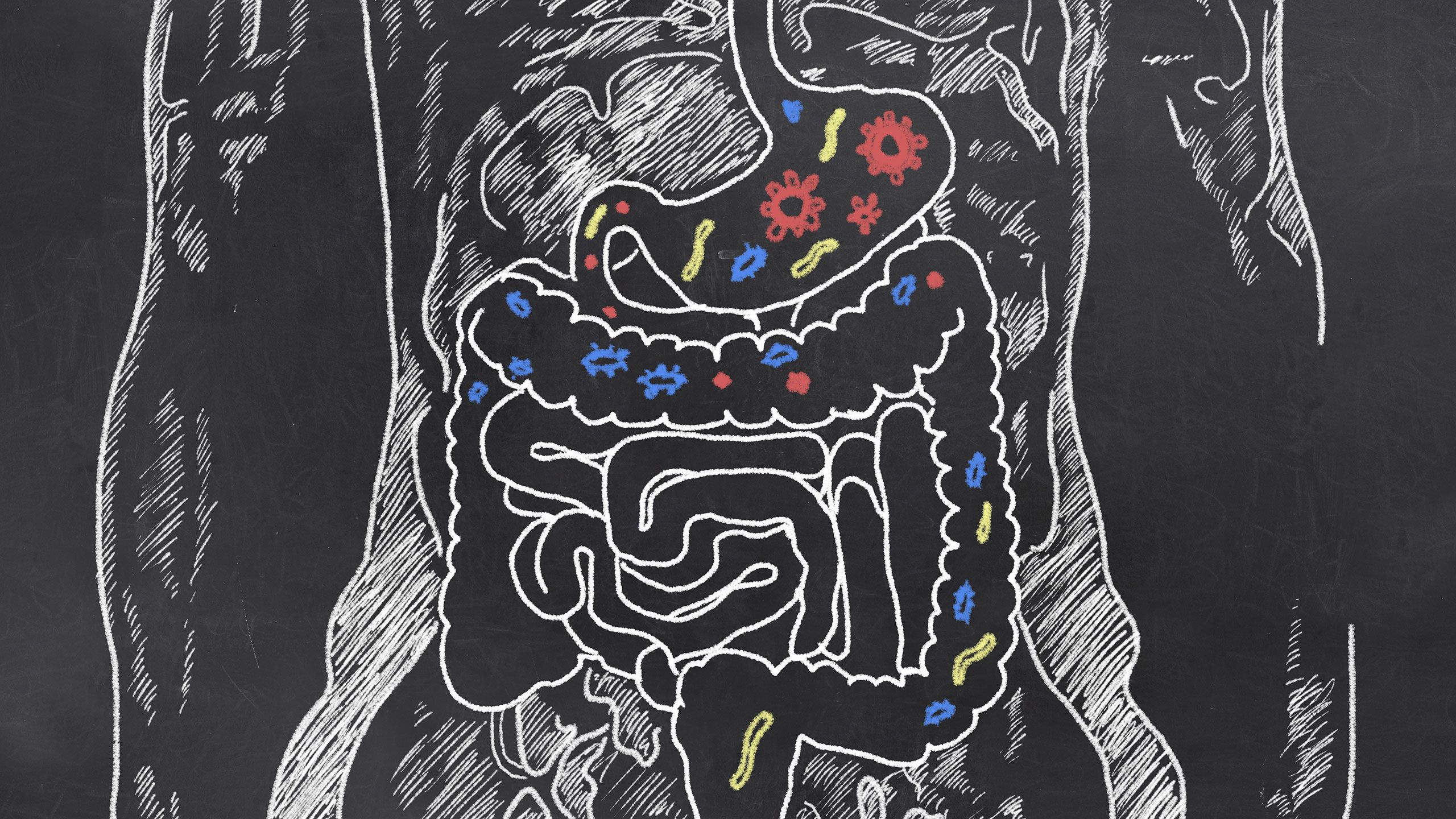 Is My Digestion Normal?