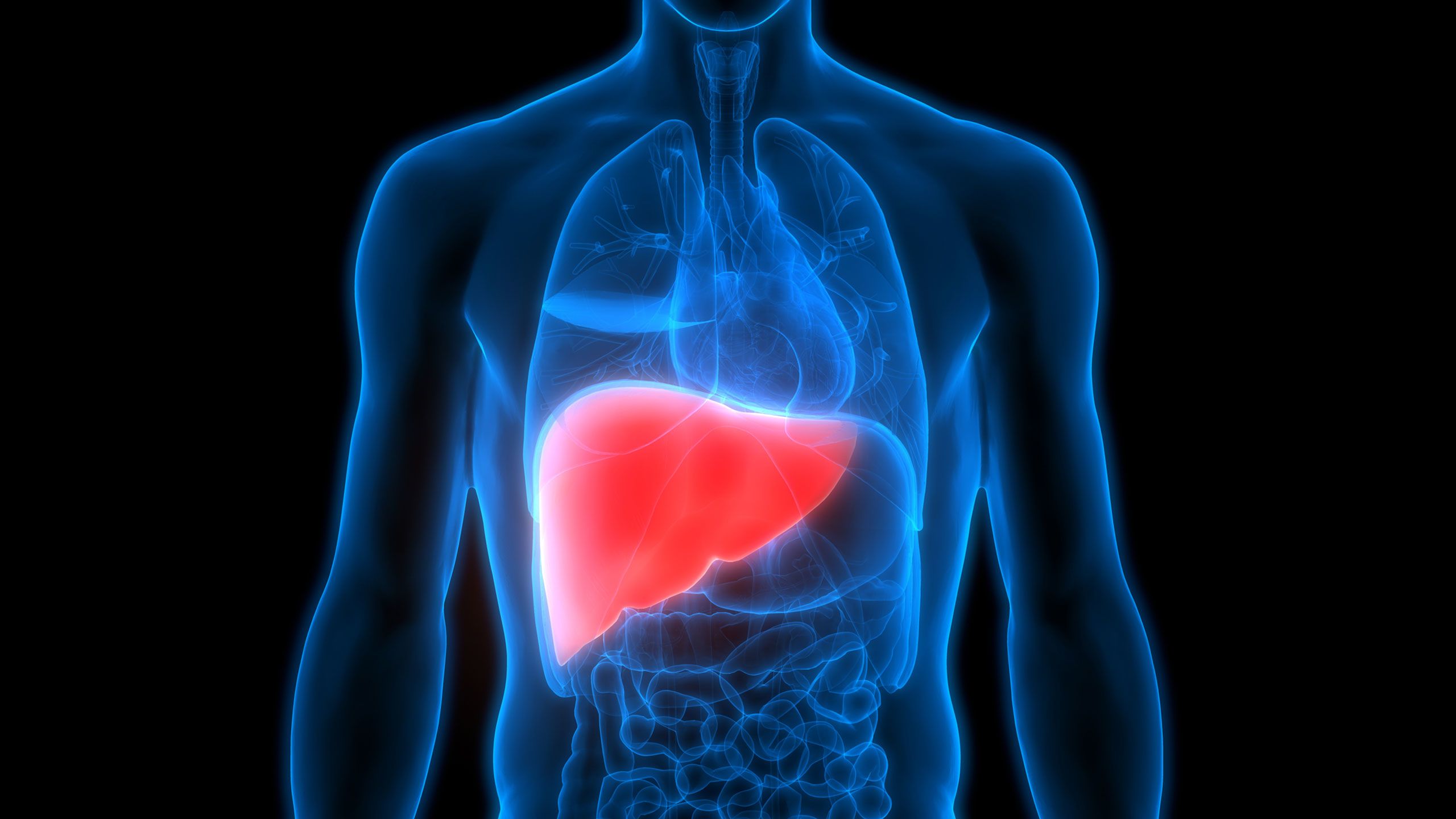 Liver cancer, cirrhosis deaths on the rise