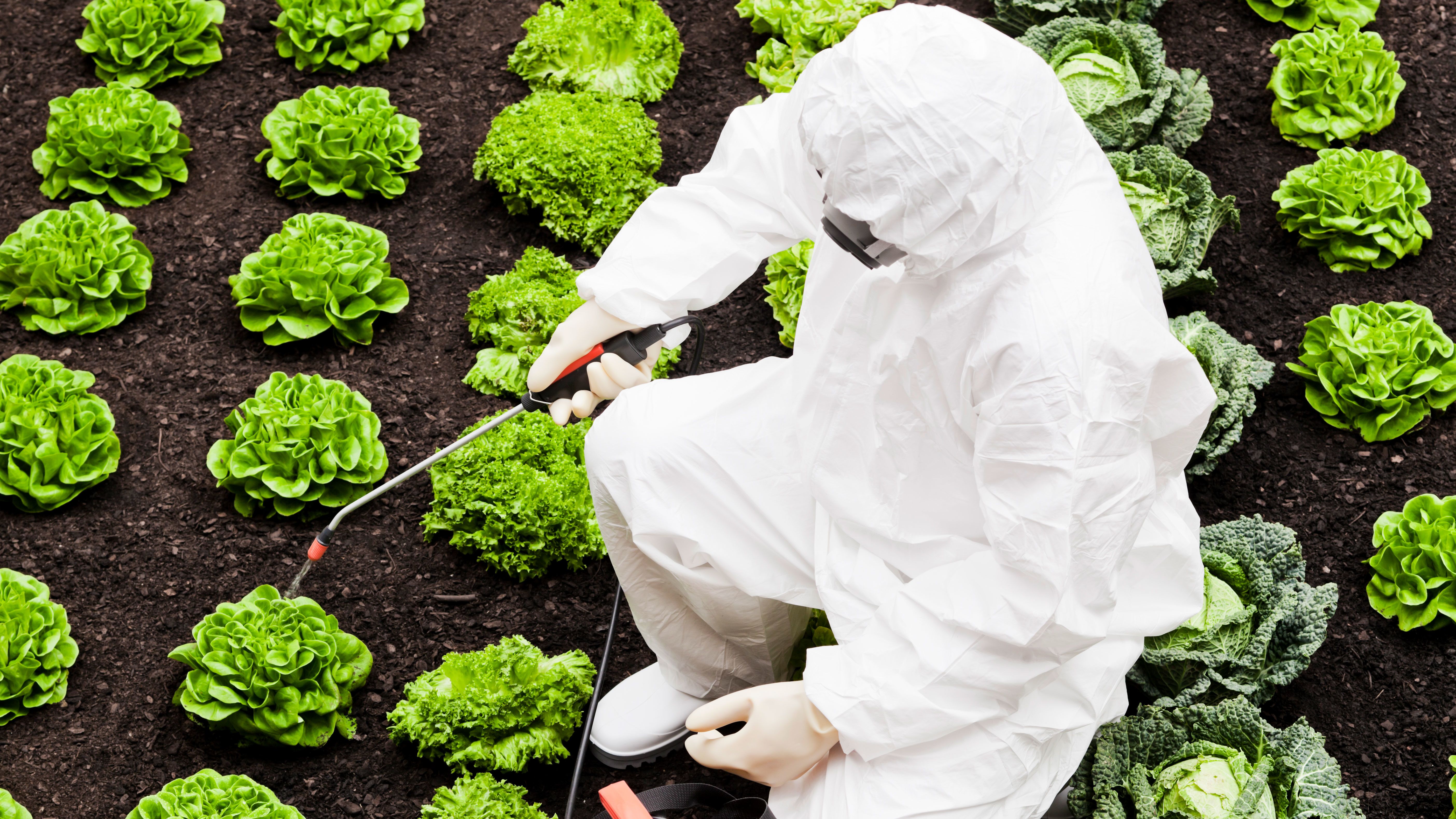 7 scariest food bugs that can make you sick