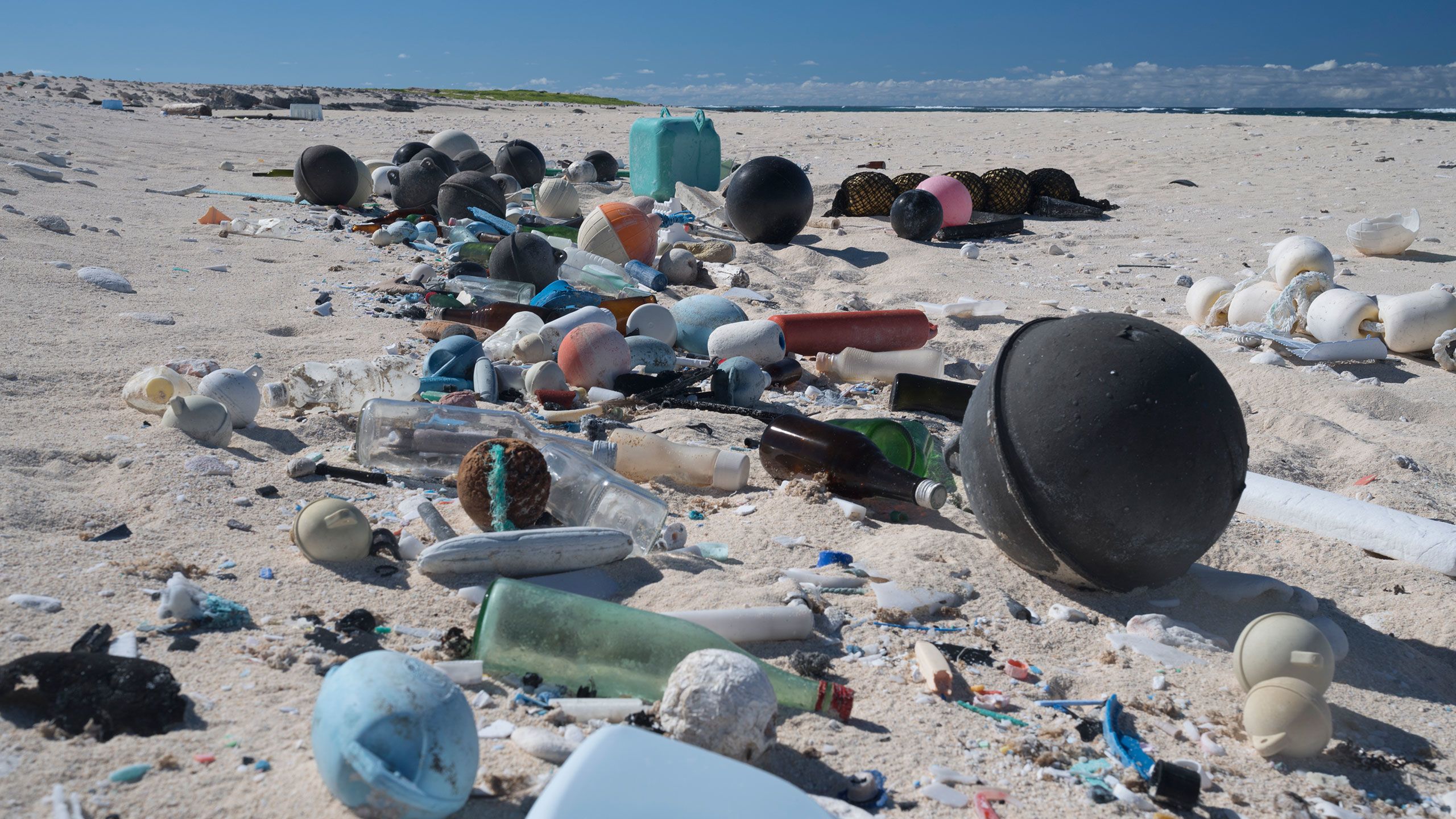 What you need to know about ocean trash in Hawaii