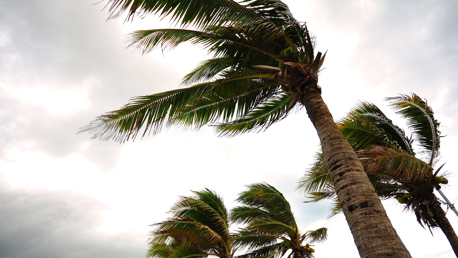 This Pacific hurricane season could be bad—prepare with these expert tips