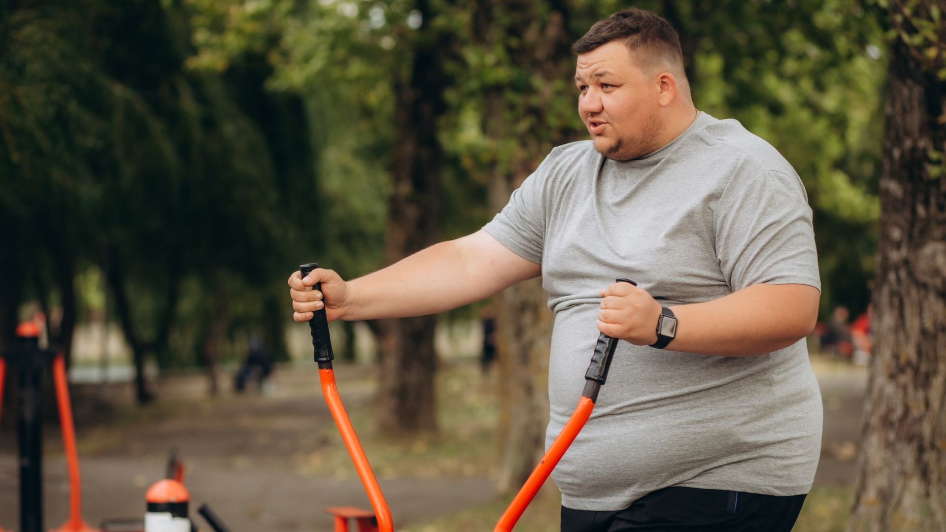 What are the treatment options for obesity?