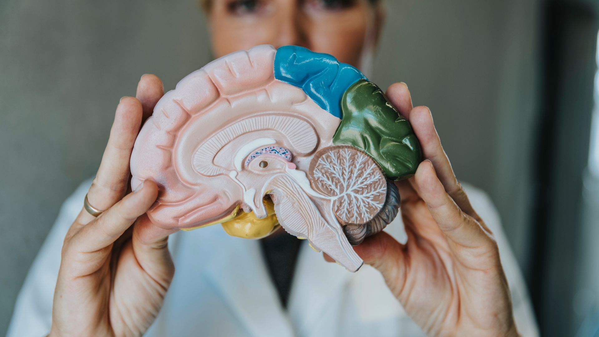 Vasomotor symptoms (VMS): Understanding your hypothalamus