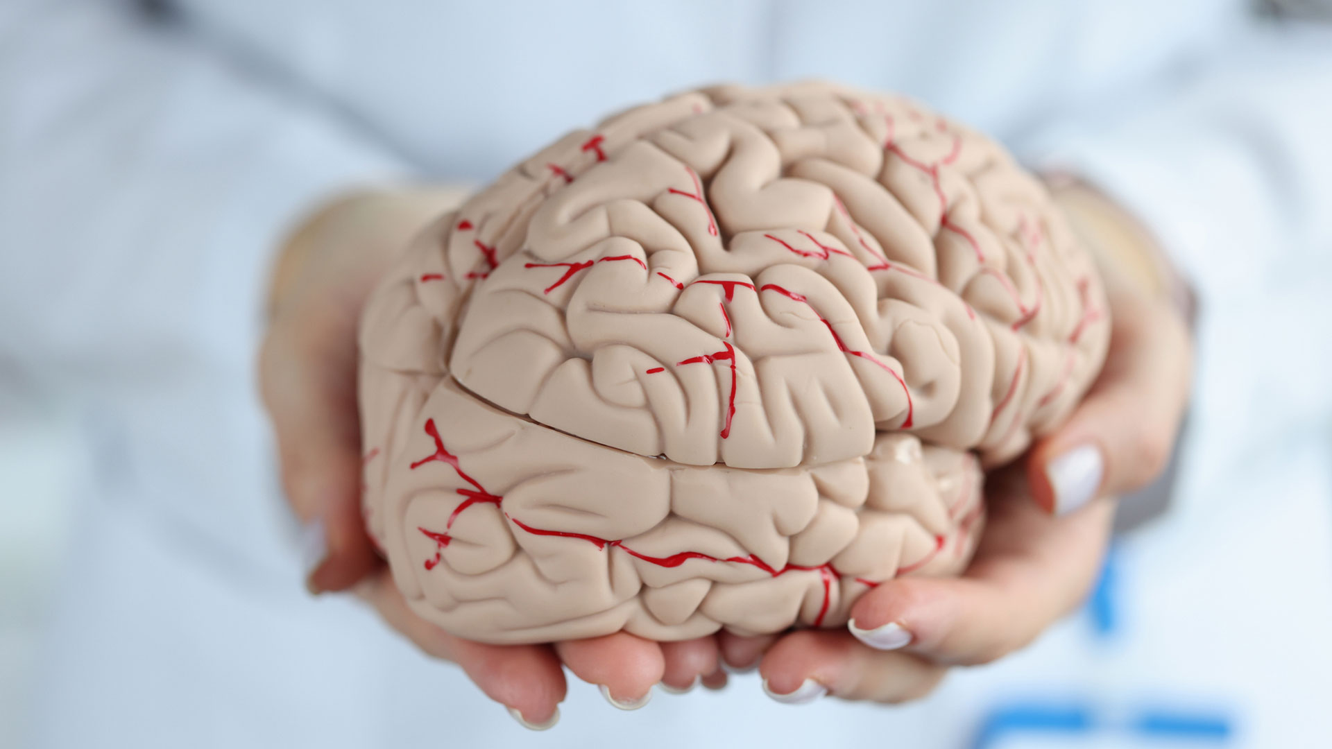 Stroke: Signs, Symptoms, Prevention, Treatment & More - Sharecare