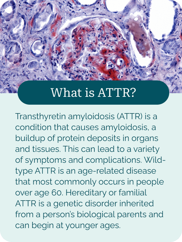 What is ATTR?