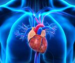 Managing AFib: Understanding the Treatment Options